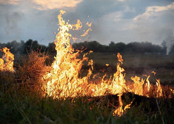 МЧС предупреждает о мерах пожарной безопасности - костры, сигареты, спички...