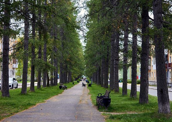 Североуральцам предлагают пройти опрос, посвященный развитию территории Лиственничной аллеи с Привокзальным сквером