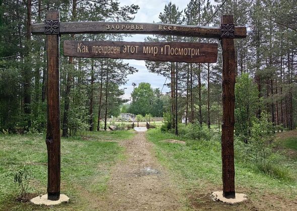 На Тропе здоровья торжественно открыли памятный знак - в честь Владимира Захарченко