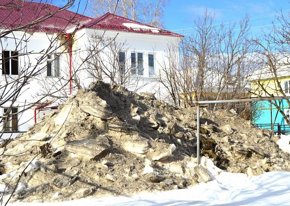 Горожанин: снег сгребают вместе с зелеными насаждениями, а власть куда смотрит?