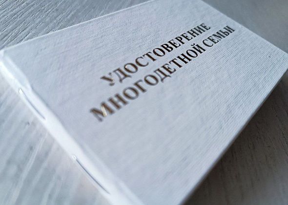 Многодетных мам из Североуральска наградят за рождение и воспитание детей