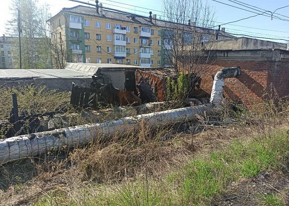 Территория за гаражами вдоль железнодорожного перрона захламлена и пожароопасна (фотофакт)