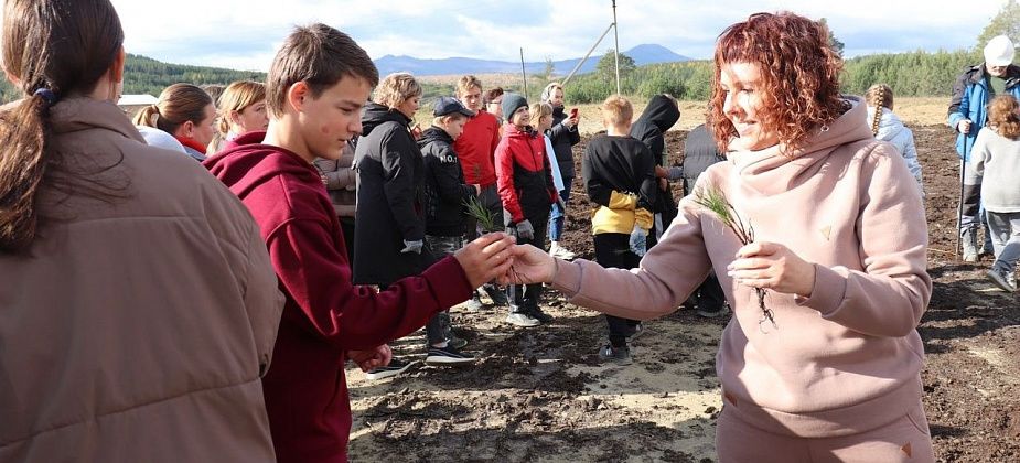 В Покровске-Уральском на месте снесенного клуба высадили саженцы кедра