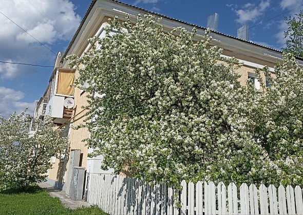 Приметы на 1 июня. Лепим вареники, не ругаем погоду. 