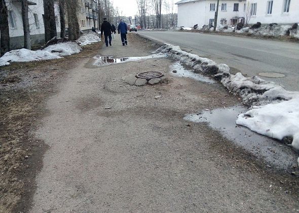 Эльвира Разводовская: “Май шагает по Черемухово…” 