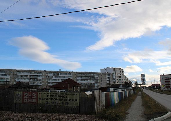 Четыре выходных – укус собаки, мужчина в майке, скандал в магазине