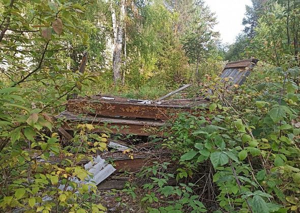 За ликвидацию несанкционированных свалок заплатят из бюджета города. Почти 600 тысяч