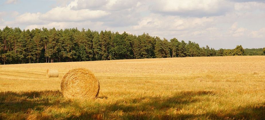 Приметы на 24 июля. Не переедаем, не ходим в баню