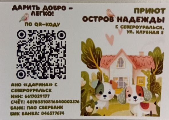 Североуральцы передали волонтерам “Дарины” корма, крупы, лотки и наполнители для животных 