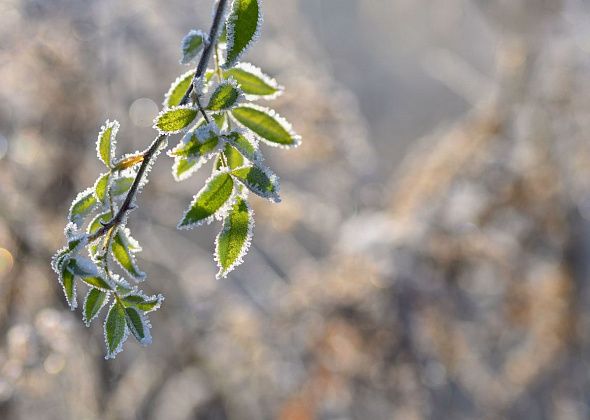 Приметы на 15 февраля. Встречаем весну, не прибираемся дома