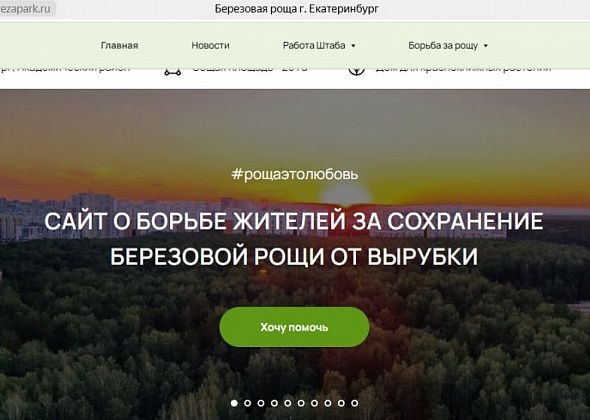 Березовую рощу в Академическом районе Екатеринбурга отстояли, не дав застройщику вырубить ее