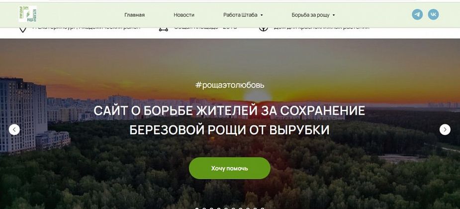 Березовую рощу в Академическом районе Екатеринбурга отстояли, не дав застройщику вырубить ее