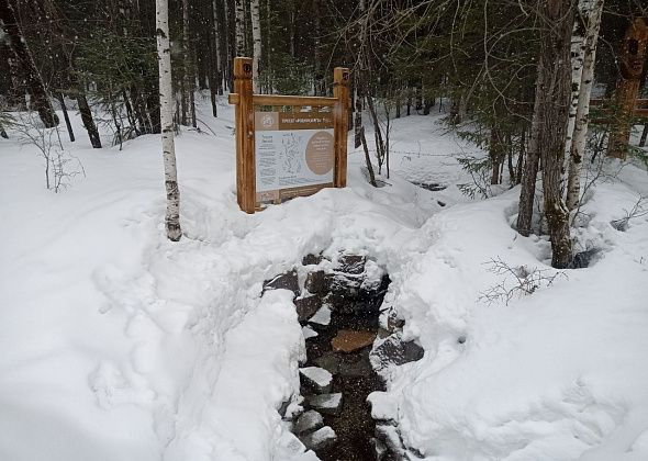 Родник “Лесной” замело снегом, вода чистейшая, но набирать ее трудно