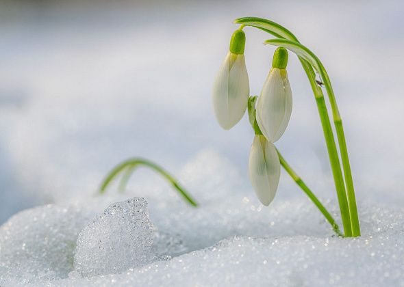 Приметы на 12 марта. Встречаем весну, не смотрим в окно после заката