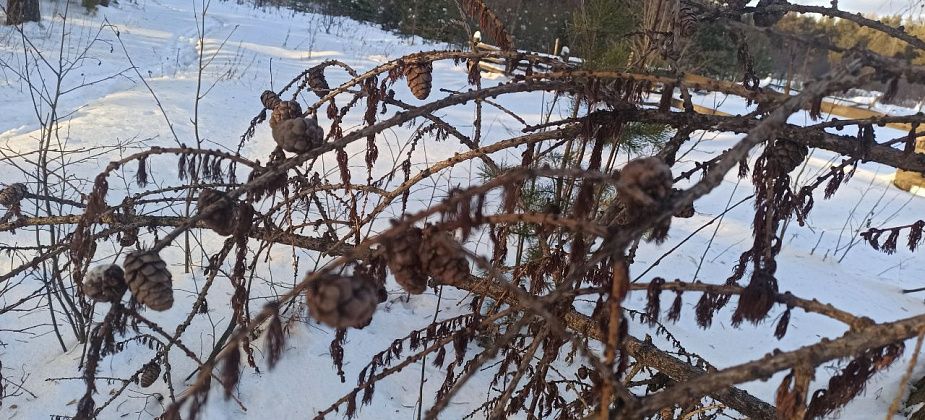 Приметы на 2 апреля. Не отказываем в помощи, не сквернословим