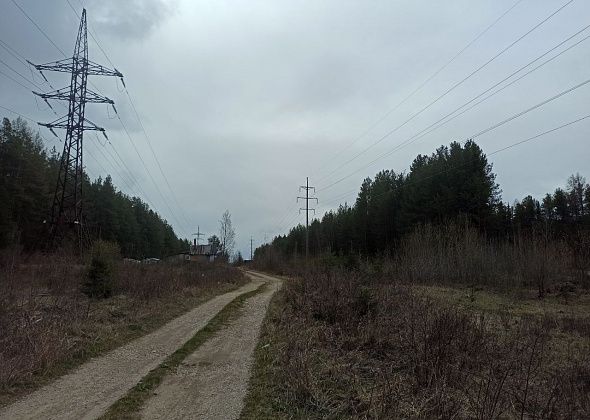 Администрация ответила дачникам. Остановка не предусмотрена, грунтовая дорога не учтена