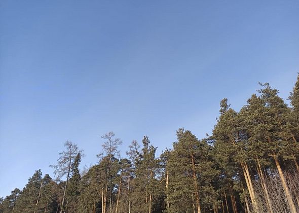 Особый пожароопасный режим в Североуральске отменен. В лес можно