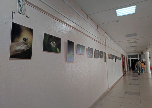Авторская фотовыставка Фомы Возьмителя работает в «Современнике»